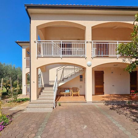Viola Three Apartment Novigrad  Luaran gambar