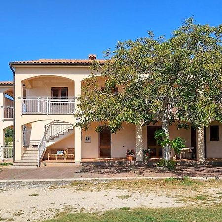 Viola Three Apartment Novigrad  Luaran gambar