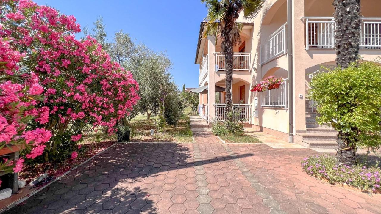 Viola Three Apartment Novigrad  Luaran gambar