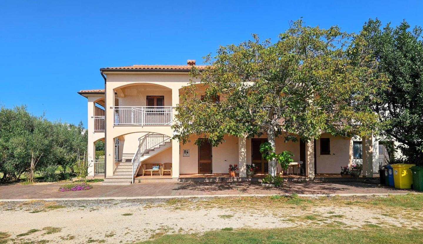 Viola Three Apartment Novigrad  Luaran gambar